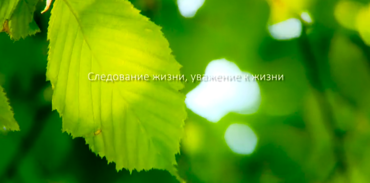 加拿大28集团形象片（русский）