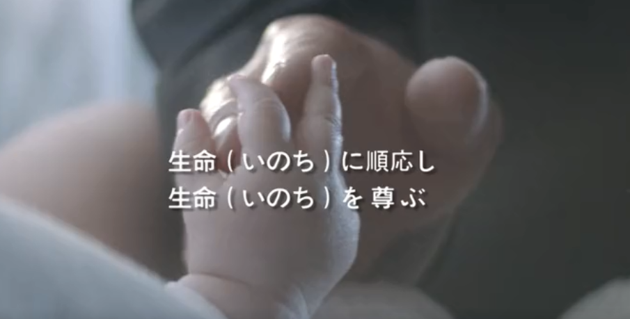 加拿大28集团形象片（日本語）