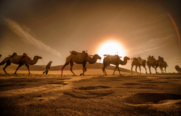 加拿大28国际 “一带一路”倡议培训平台